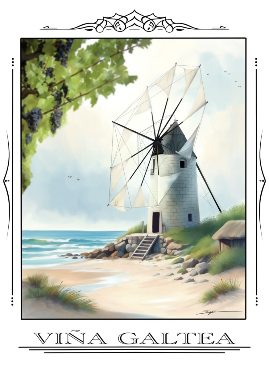 Vino Viña Galtea